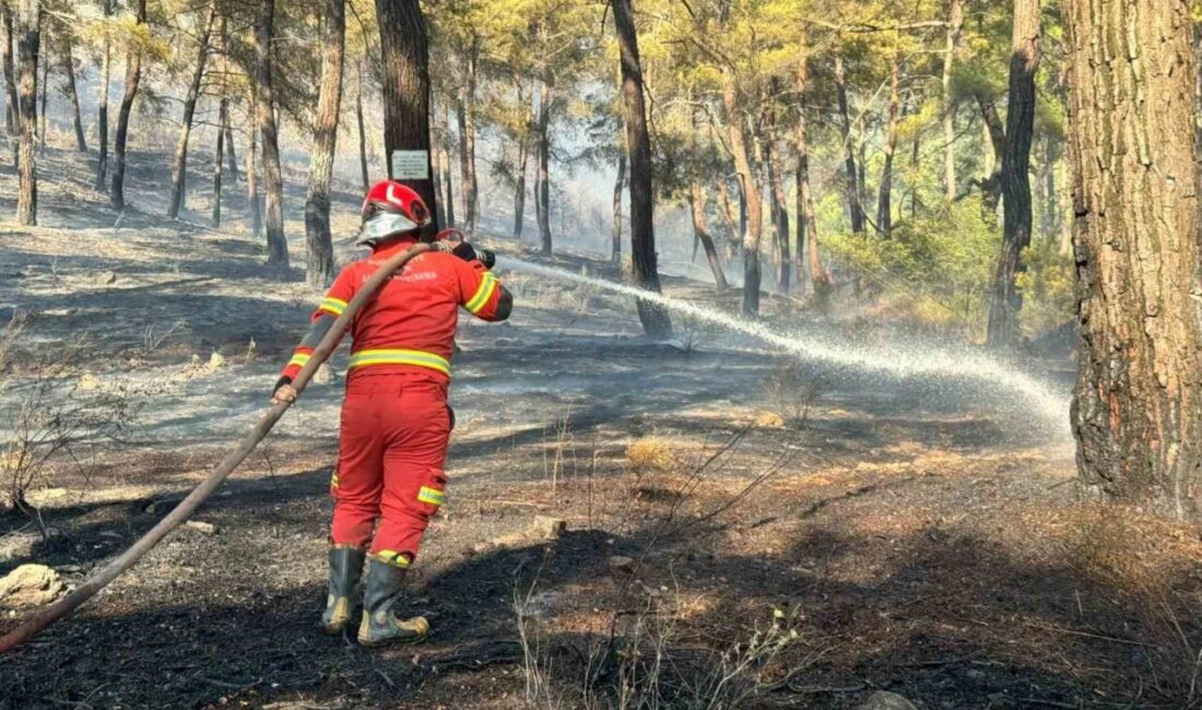 Muğla’nın Ortaca ilçesinde Gölbaşı Mahallesi’nde çıkan orman yangınına ekiplerin karadan