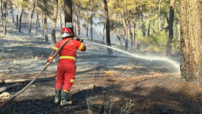 Muğla’nın Ortaca ilçesinde Gölbaşı Mahallesi’nde çıkan orman yangınına ekiplerin karadan