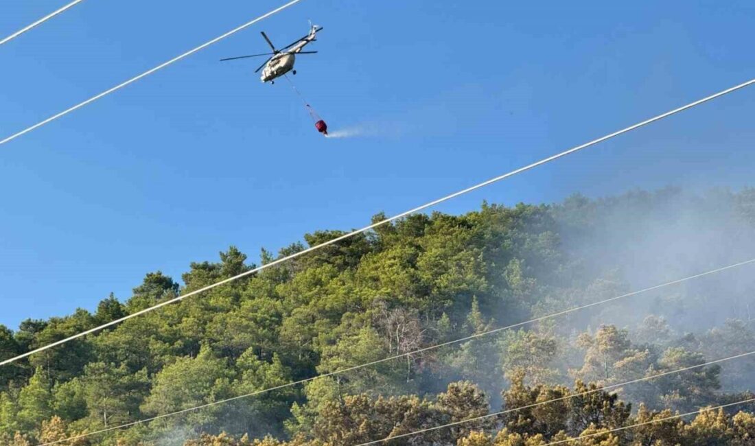 Muğla’nın Ortaca ilçesindeki orman yangını, ekiplerin karadan ve havadan yürüttüğü