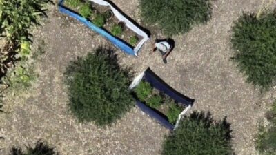 Kadirli ilçesinde düzenlenen operasyonda 31 kilo 200 gram kubar esrar,