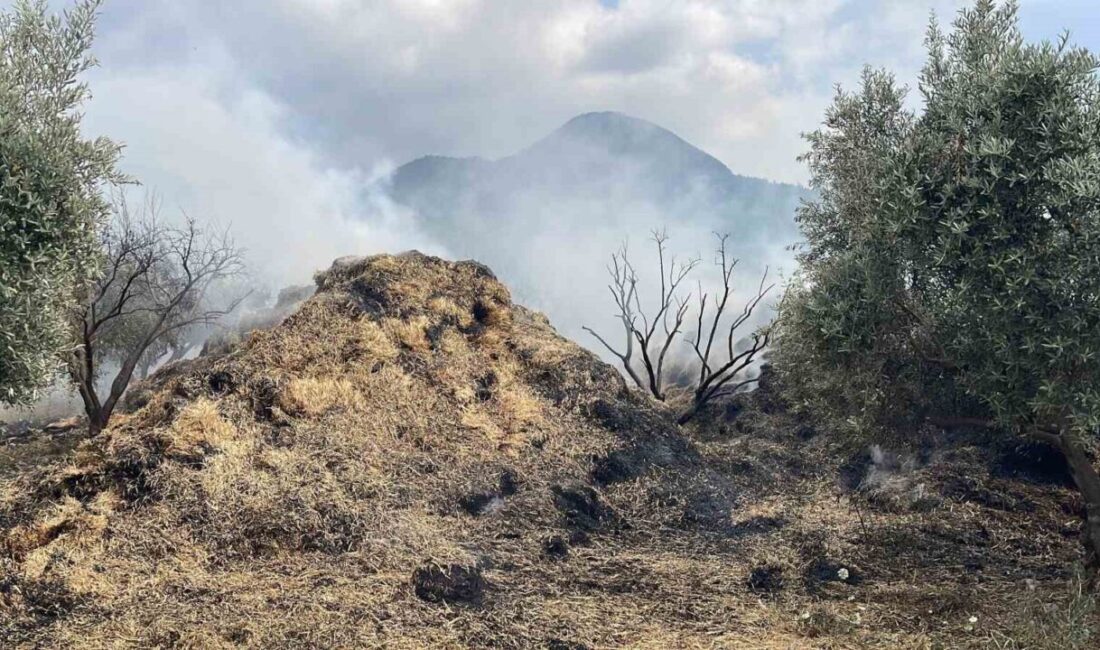 Osmaniye ilinde, Dereli köyünde gerçekleşen bir olayda, saman balyalarının alev