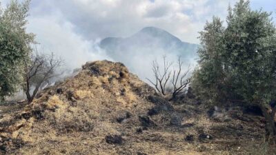 Osmaniye ilinde, Dereli köyünde gerçekleşen bir olayda, saman balyalarının alev