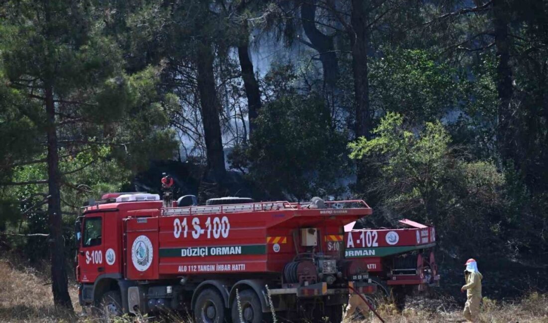 Osmaniye’de, Yarpuz Mahallesi Türkü mevkisinde çalılık alanda başlayan ve rüzgarın