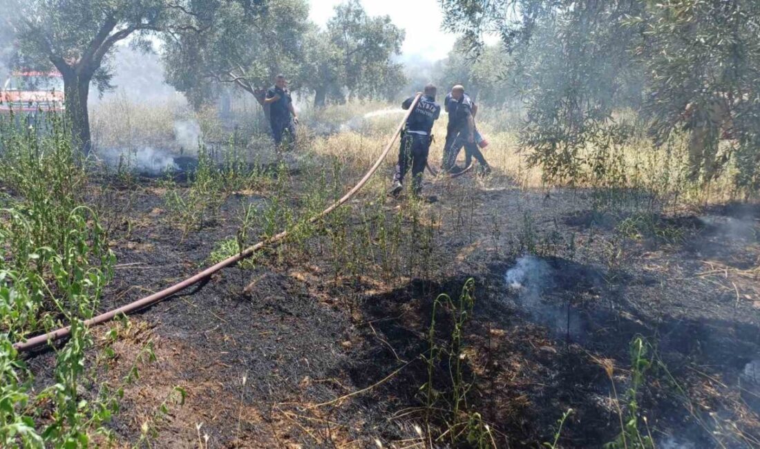 Aydın’ın Efeler ilçesinde meydana gelen olayda, bir şahsın kuru otları