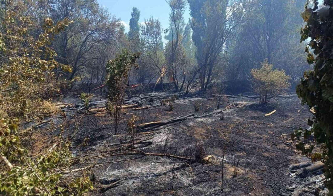 Sandıklı ilçesinde meydana gelen ot yangını, çevredeki yerleşim yerlerine yakın