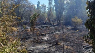 Sandıklı ilçesinde meydana gelen ot yangını, çevredeki yerleşim yerlerine yakın