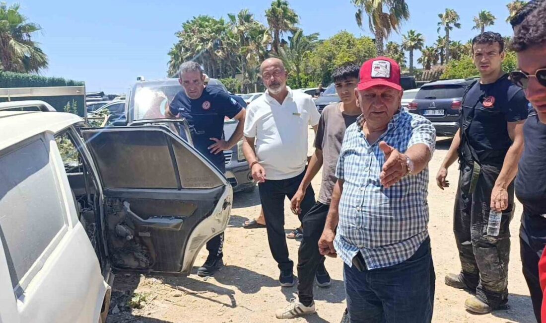 Manavgat ilçesindeki bir otele sineklik ölçüsü almak üzere giden bir