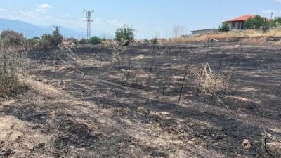 Manisa’nın Sarıgöl ilçesinde meydana gelen yangın, mahalle sakinleri ve itfaiye