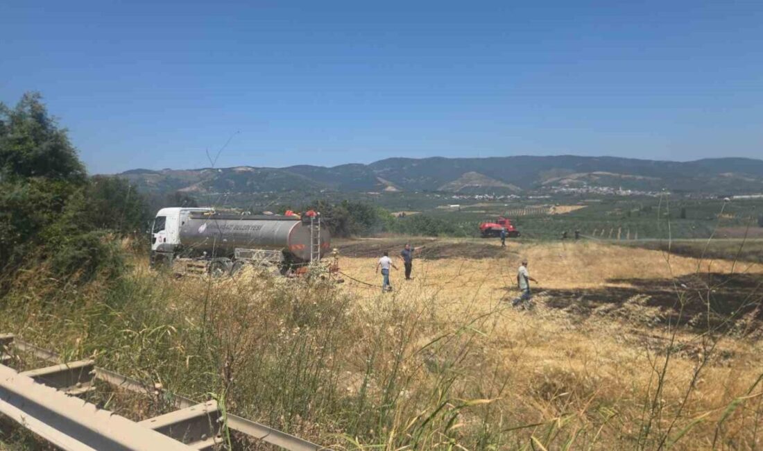 Orhangazi Süpürgelik mevkiinde, Bursa-Yalova Karayolu üzerinde çalılık ve ağaçlık alanda