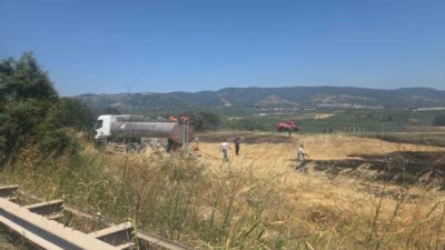 Orhangazi Süpürgelik mevkiinde, Bursa-Yalova Karayolu üzerinde çalılık ve ağaçlık alanda