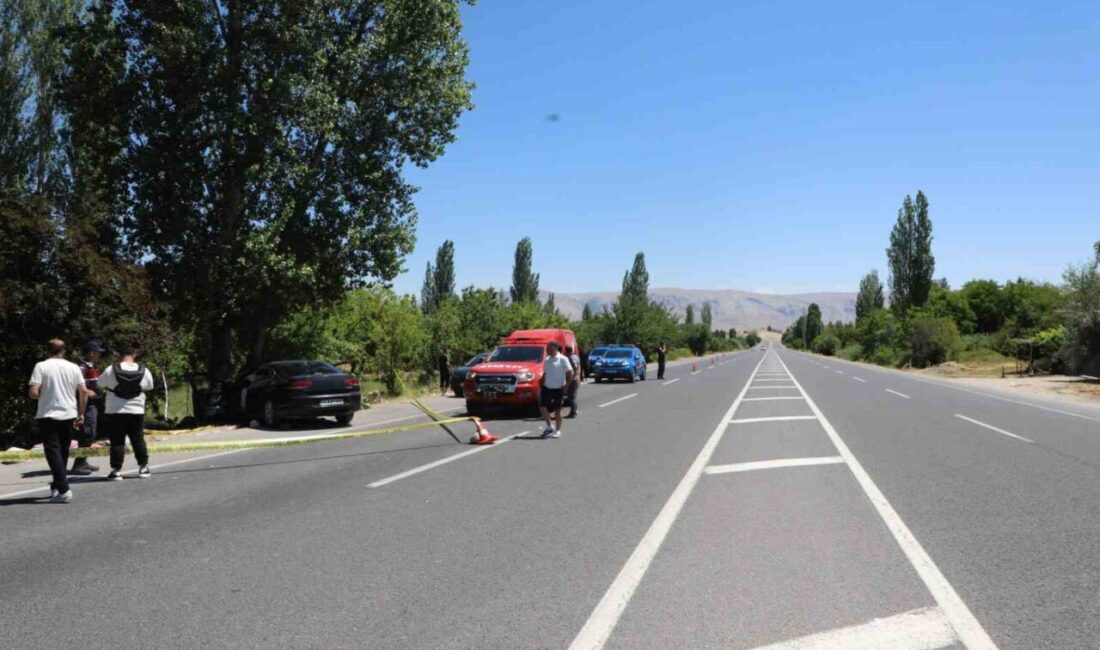 Malatya’nın Darende ilçesinde meydana gelen trafik kazasında, 2 kişi yaşamını