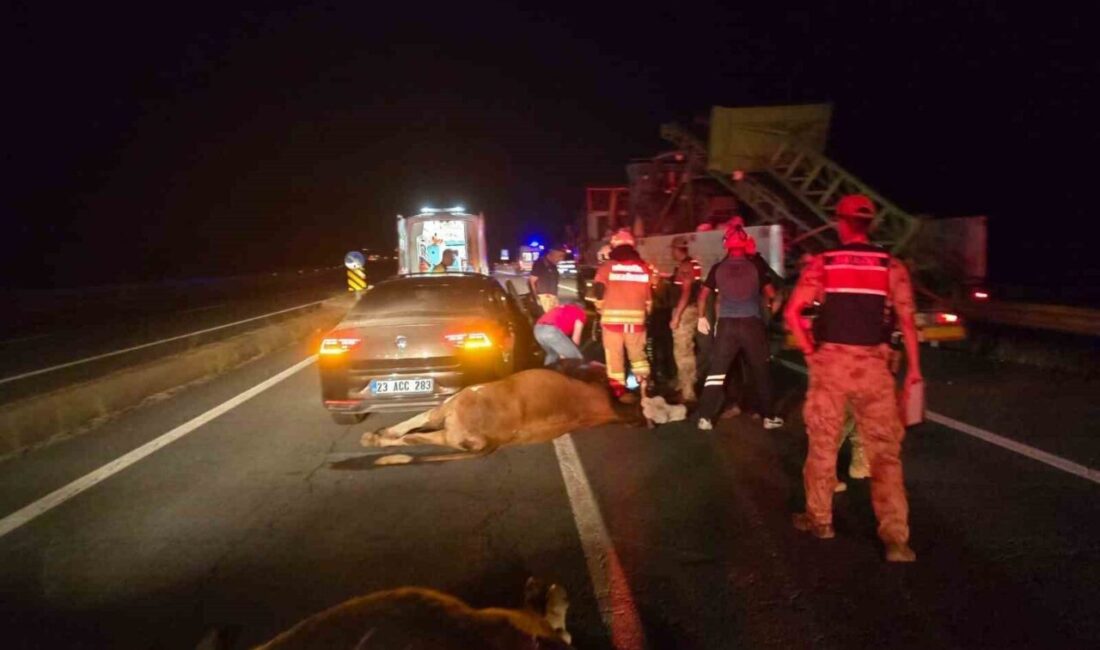 Bingöl’de meydana gelen bir trafik kazasında, bir otomobilin ineklere çarpması