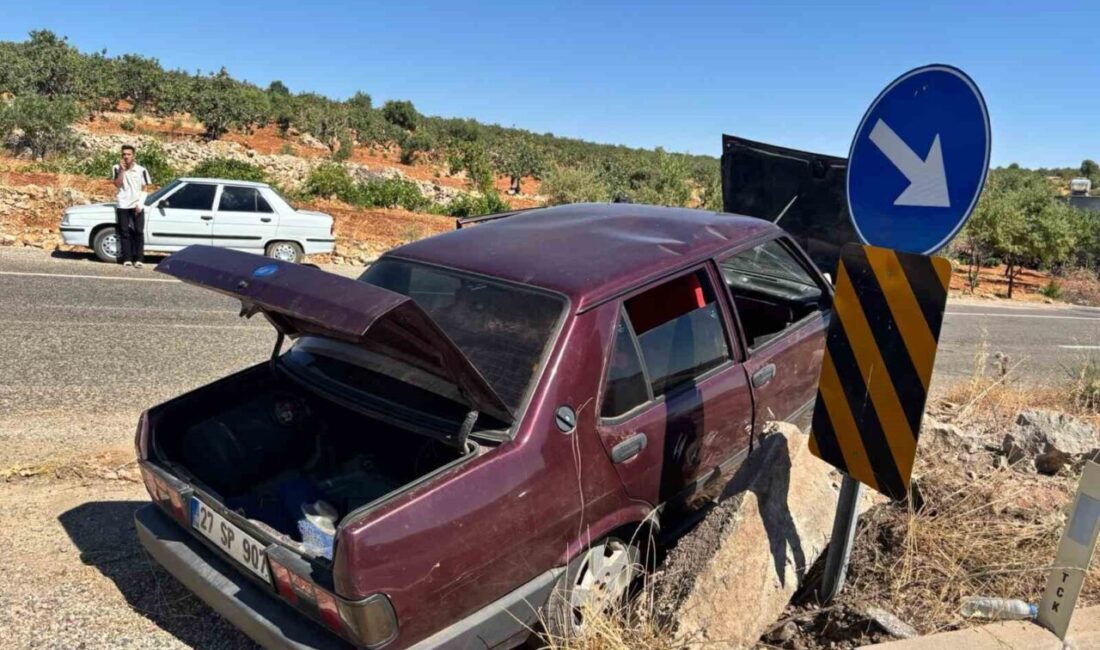 Besni ilçesinde meydana gelen trafik kazasında sürücü kontrolü kaybeden bir