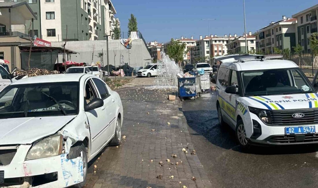 Adıyaman merkezinde, bir otomobilin sürücüsünün kontrolünden çıkarak yol kenarındaki bir