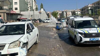 Adıyaman merkezinde, bir otomobilin sürücüsünün kontrolünden çıkarak yol kenarındaki bir
