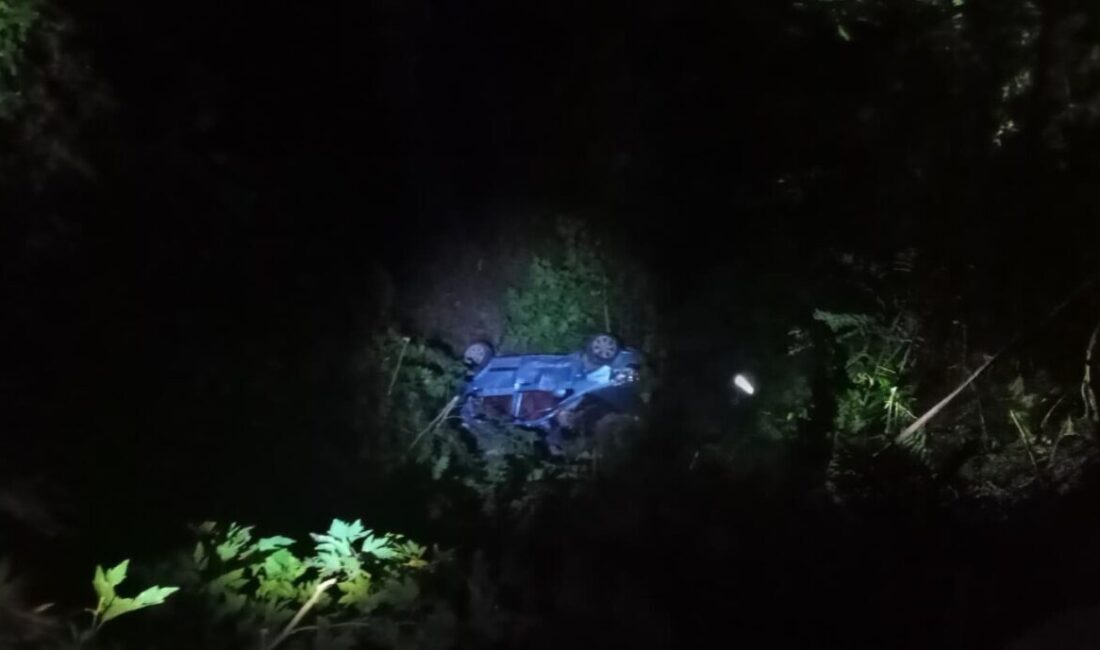 Hatay’ın Dörtyol ilçesi Kuzuculu Mahallesi Keçeli mevkiinde, sürücüsünün direksiyon kontrolünü