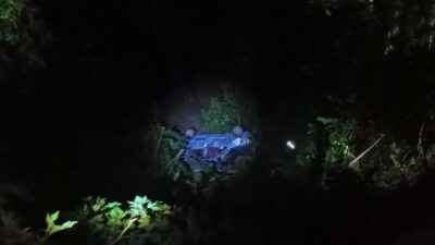 Hatay’ın Dörtyol ilçesi Kuzuculu Mahallesi Keçeli mevkiinde, sürücüsünün direksiyon kontrolünü