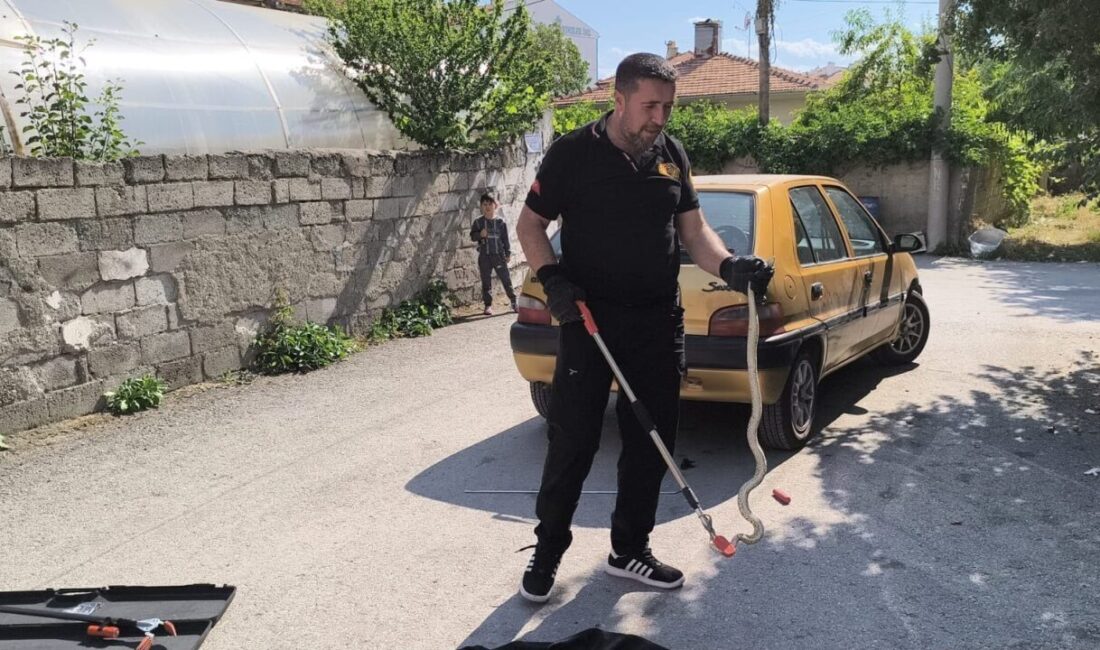 Çorum’un Alaca ilçesinde park halindeki bir aracın altına giren yılan,