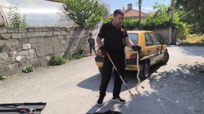 Çorum’un Alaca ilçesinde park halindeki bir aracın altına giren yılan,