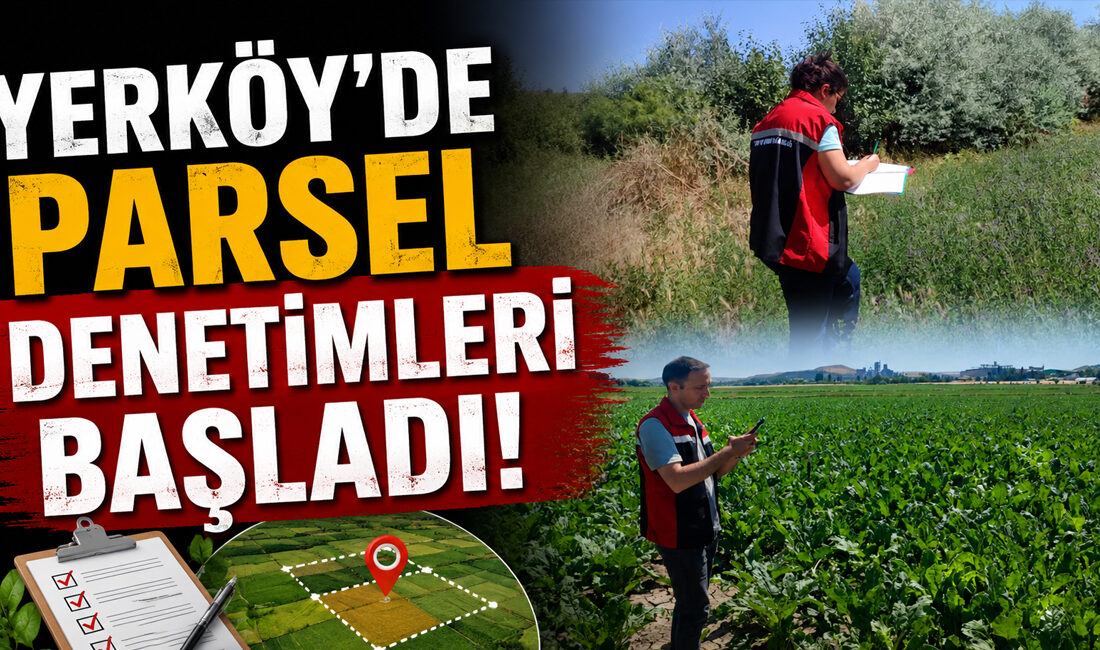 İlçe Tarım ve Orman Müdürlüğü Ekipleri Sahada: Yem Bitkileri Ekim