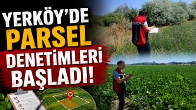 İlçe Tarım ve Orman Müdürlüğü Ekipleri Sahada: Yem Bitkileri Ekim