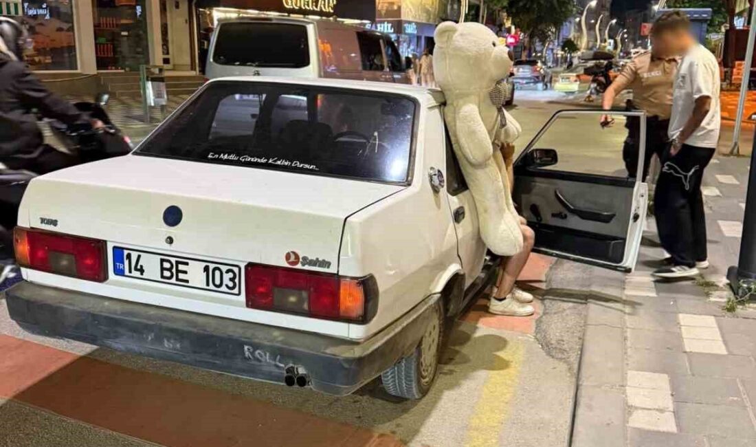 Bolu’da, gece bekçilerinin dikkatini çeken araçta arka camına asılı peluş