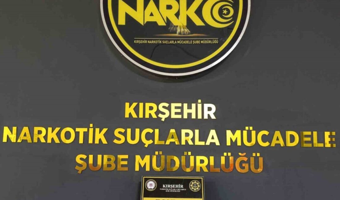 Kırşehir’de polis ekipleri tarafından durdurulan bir araçta uyuşturucu haplar bulundu.