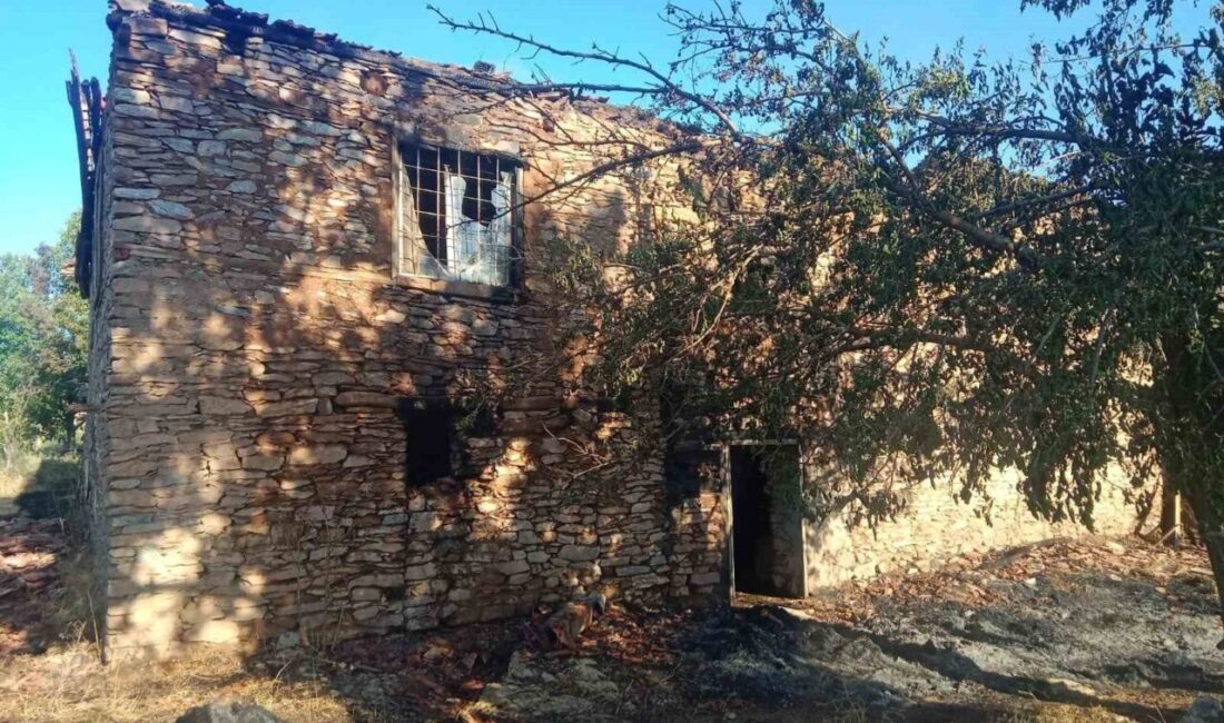 Pütürge ilçesinde meydana gelen yangında, 2 ev ile yaklaşık 20