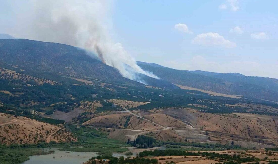 Malatya’nın Pütürge ilçesinde meydana gelen orman yangınıyla ilgili çalışmalar hızla