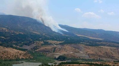 Malatya’nın Pütürge ilçesinde meydana gelen orman yangınıyla ilgili çalışmalar hızla
