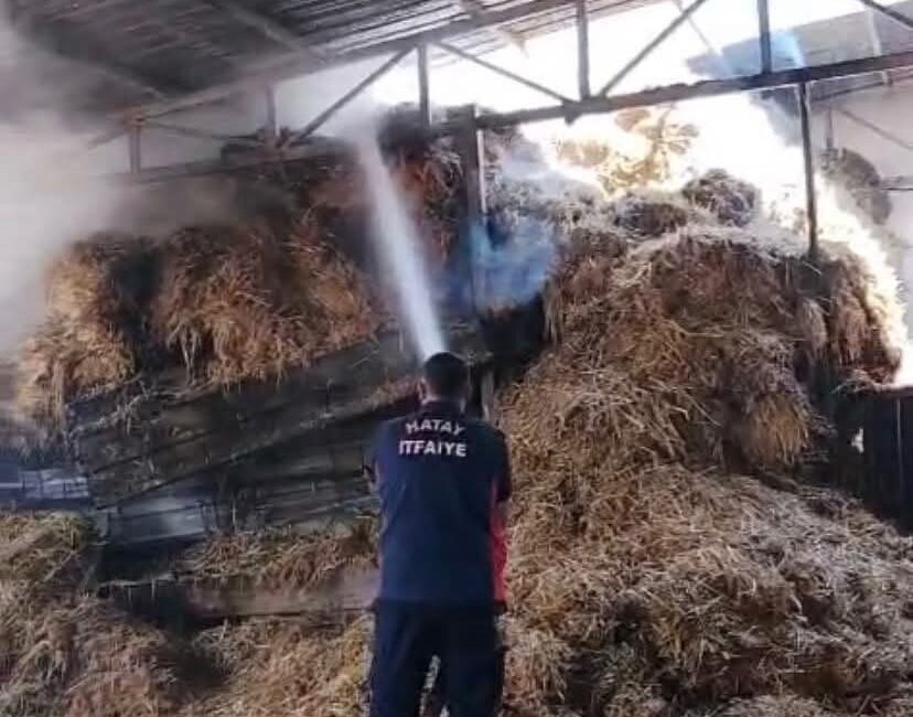 Reyhanlı ilçesindeki bir ahırda çıkan samanlık yangını, hızlı müdahaleyle geniş