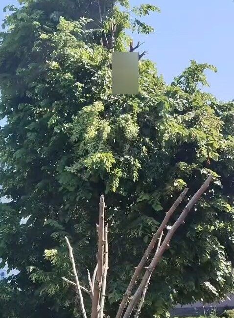 Rize’nin Çayeli ilçesine bağlı Limanköy Mahallesi’nde meydana gelen trajik bir