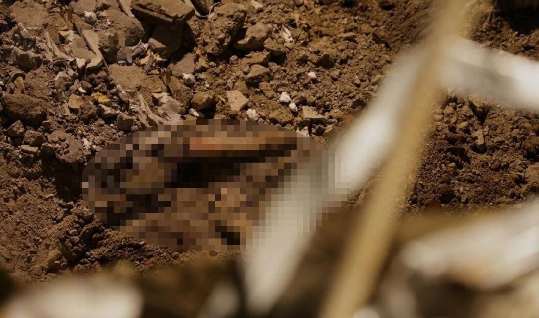 Ukrayna’da dün Rus güçlerinin Kiev ve çevresine düzenlediği füze ve