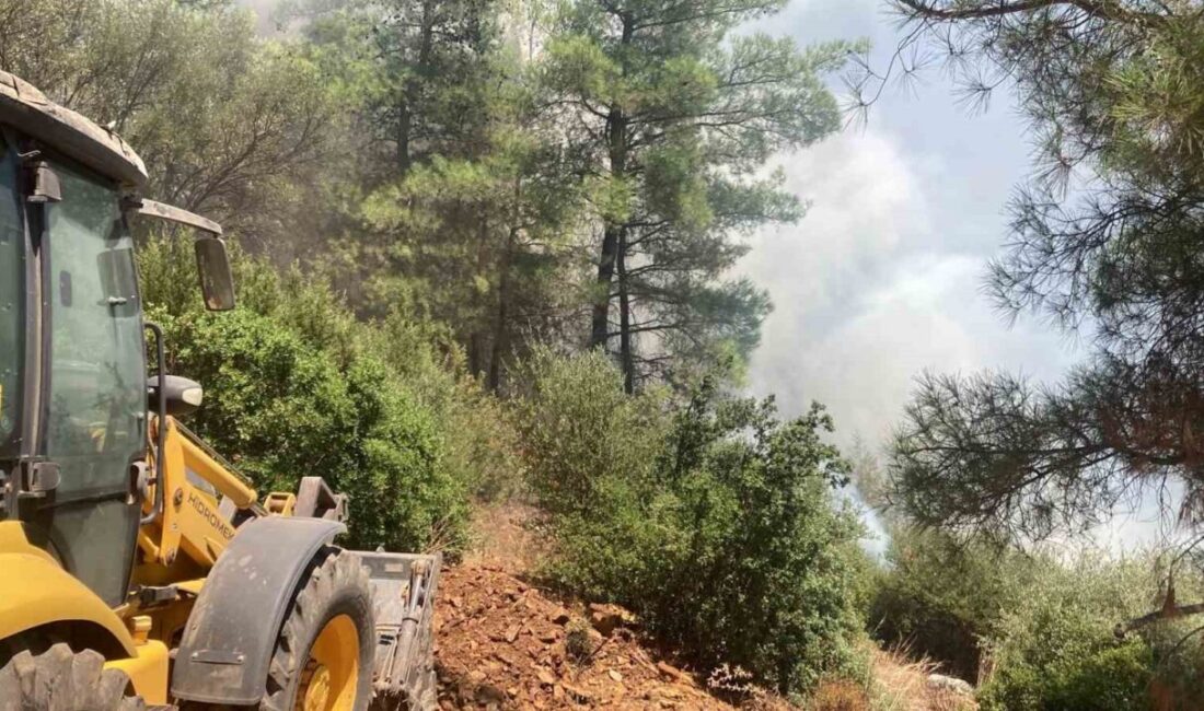 Bodrum ilçesindeki yangın, otluk alanda başladıktan sonra rüzgarın etkisiyle hızla