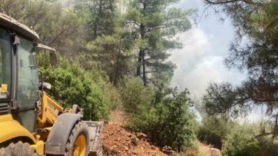 Bodrum ilçesindeki yangın, otluk alanda başladıktan sonra rüzgarın etkisiyle hızla