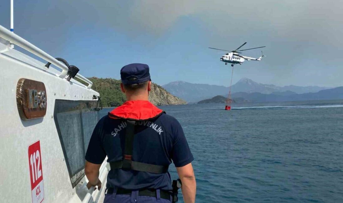 Muğla’nın Fethiye ilçesine bağlı Göcek Mahallesi’nde çıkan orman yangınına karadan