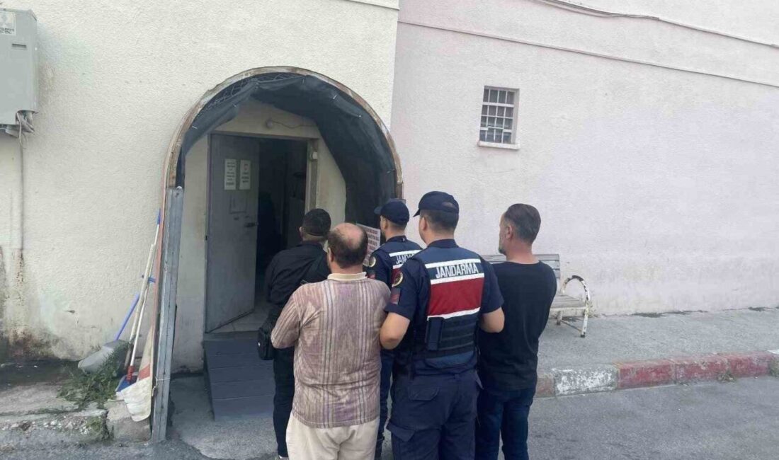 Mersin ilinde, jandarma ekipleri, piyasa değeri tahmini 200 milyon TL