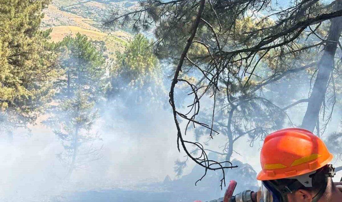 Saimbeyli ilçesine bağlı Gökmenler Mahallesi’nde meydana gelen orman yangını, hızlı