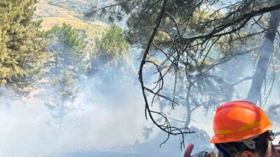 Saimbeyli ilçesine bağlı Gökmenler Mahallesi’nde meydana gelen orman yangını, hızlı