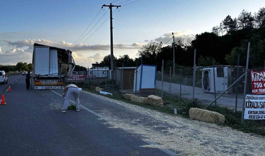 Adapazarı ilçesine bağlı olan D 650 karayolunda, bir saman yüklü