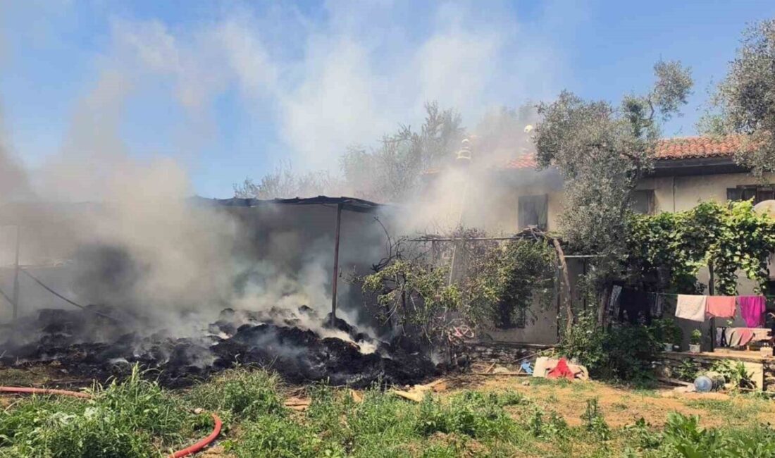 Muğla’nın Menteşe ilçesine bağlı Orhaniye Mahallesi’nde, Kadı Kahvesi Bağlarbaşı mevkisinde