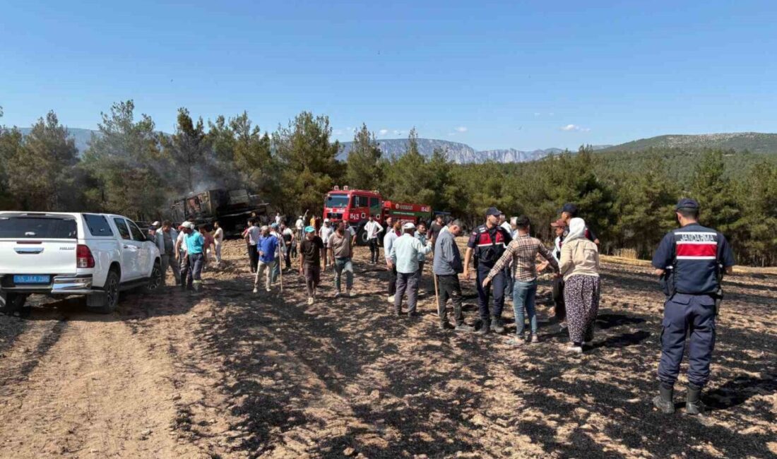 Vezirköprü’de Biçerdöver Yangınında 150 Dönüm Tarım Arazisi Zarar Gördü Samsun’un
