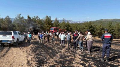 Vezirköprü’de Biçerdöver Yangınında 150 Dönüm Tarım Arazisi Zarar Gördü Samsun’un