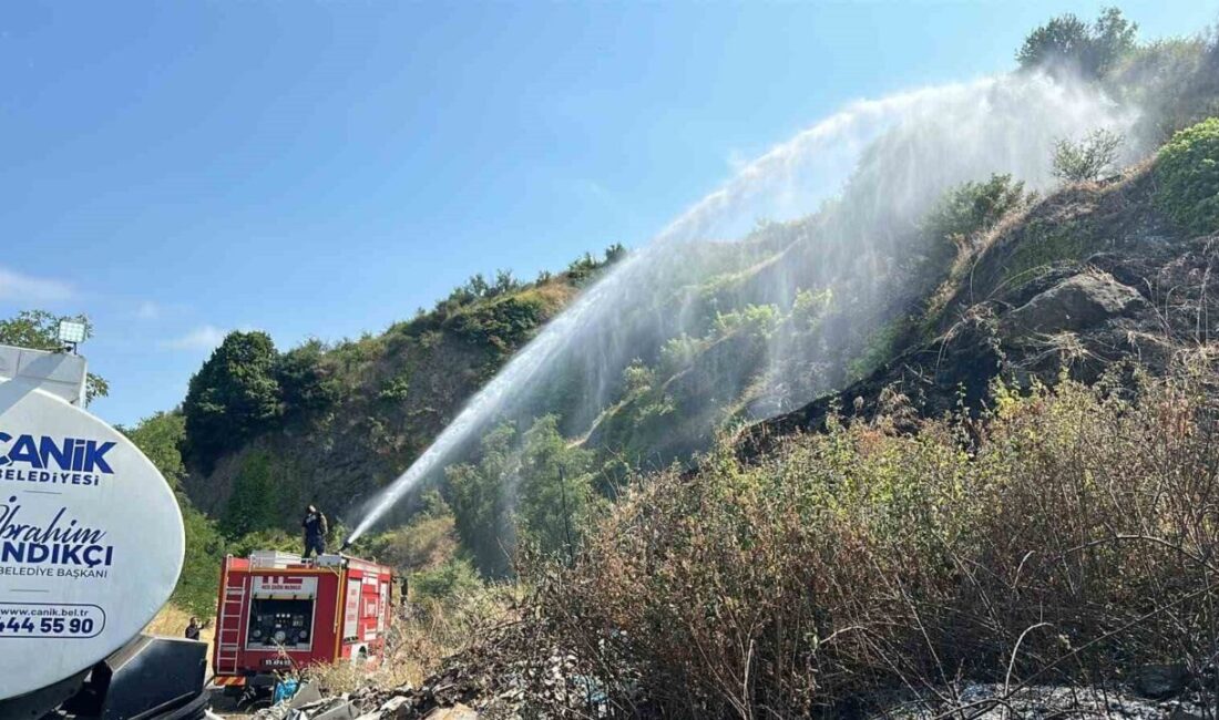 Samsun’un Canik ilçesinde otluk alanda meydana gelen yangında yaklaşık 10
