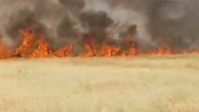 Şanlıurfa’nın Haliliye ilçesindeki yangın, Gümüştaş Mahallesi’nde yaklaşık 45 dönüm buğday