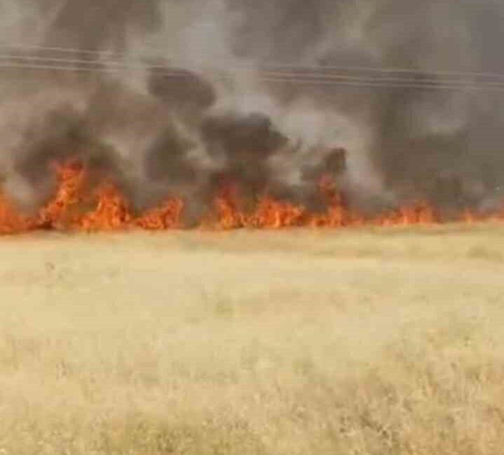 Şanlıurfa’nın Haliliye ilçesindeki yangın, Gümüştaş Mahallesi’nde yaklaşık 45 dönüm buğday