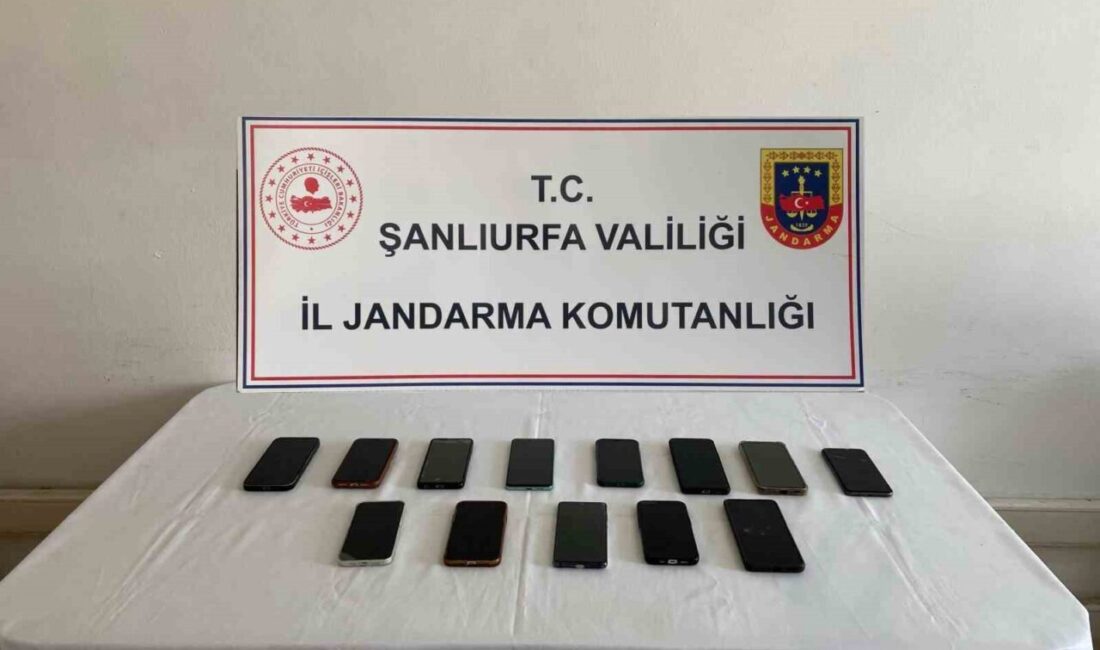 Şanlıurfa’da, sürücü belgesi almak isteyen kişilerin yerine sınava giren ve