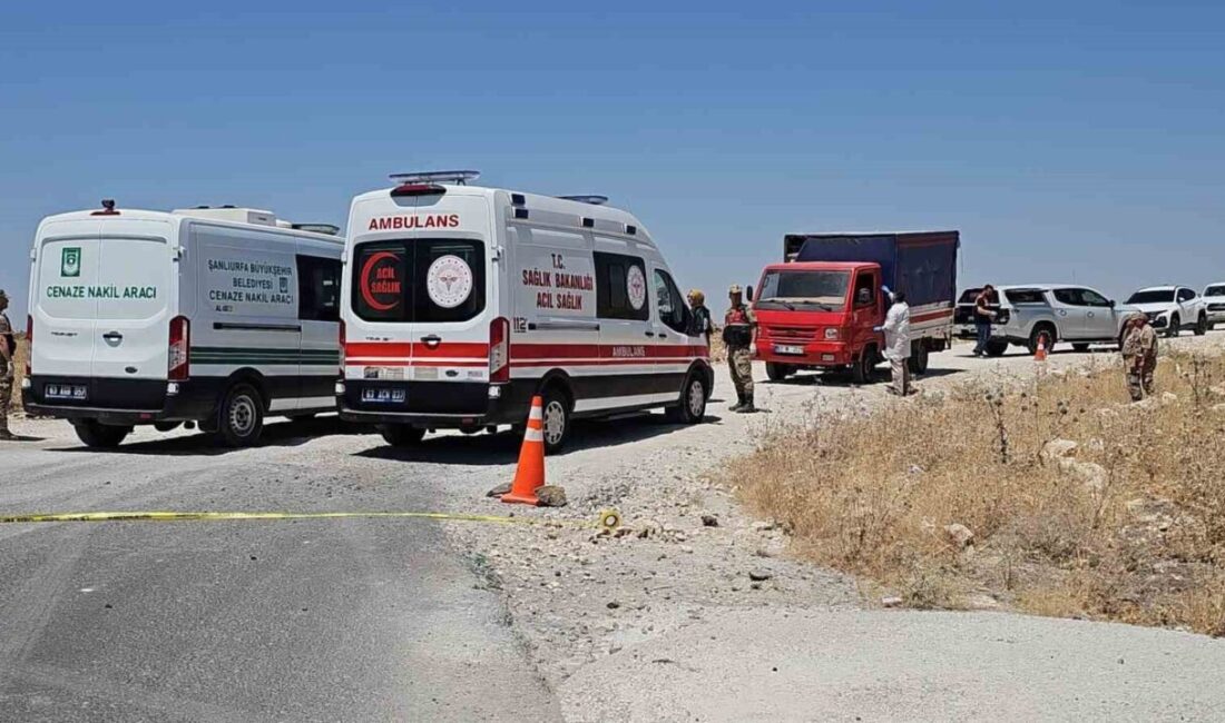 Şanlıurfa’da bir kişi, Karaköprü ilçesine bağlı Aşıkköy Mahallesi yakınlarında kamyonette