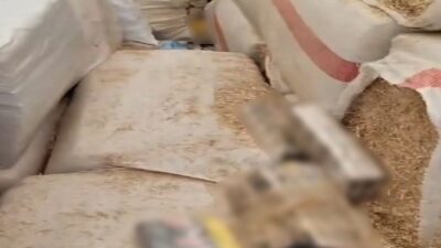 Şanlıurfa’da polis ekipleri, durdurdukları bir tırda yaptıkları aramada, saman balyası