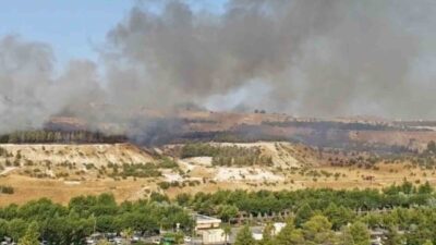 Şanlıurfa’nın Karaköprü ilçesinde bulunan Gap Vadisi bölgesinde meydana gelen orman